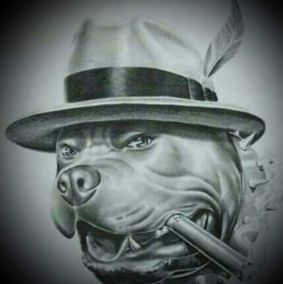 jerrychavez336